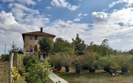 Kúti Vendégház Kincsesbánya