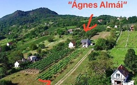 Ágnes Almái Présház Kisapáti