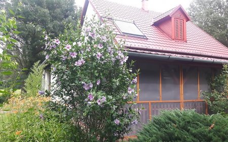 Tiszai Vándor Apartmanház Kisköre