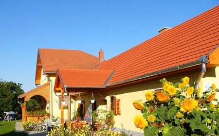 Benkő Vendégház Kiskutas