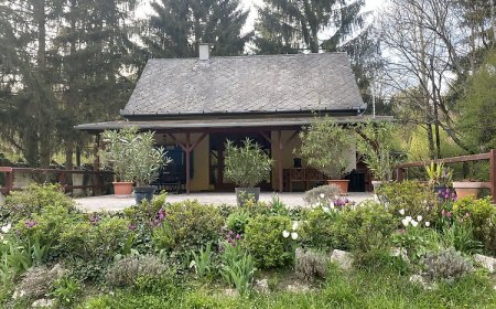 Börzsönyliget Vendégházak Kismaros