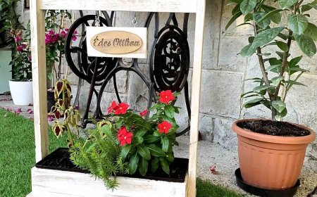 Liliom Apartman Kismaros