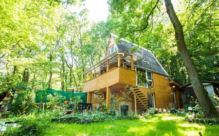 Olive Tree Forest Cabin Original Vendégház Kismaros