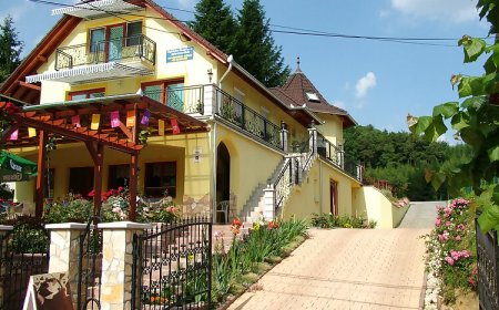 Nefelejcs Fagyizó és Apartmanház Kistolmács