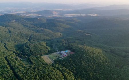 Szent Orbán Erdei Wellness Hotel Kóspallag