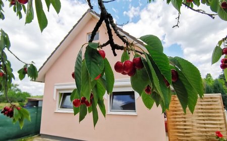 Szilvia Vendégház Kőröshegy