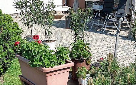 Kőszeg Levendula Apartmanház