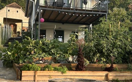 Zöld Paradicsom Vendégház Kőszegszerdahely