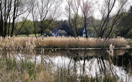 Kökényház Vendégház Kötcse