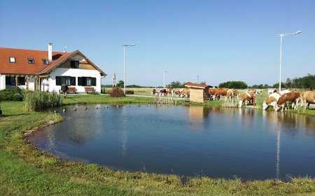 Tarján Puszta Vendégház & Rendezvényterem Kötegyán