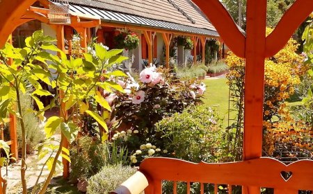 Kabóca Vendégház Kővágóörs