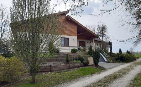 Pagony Berénybenei Fogadó Lajosmizse