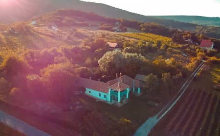 Bárdió Birtokház Lesenceistvánd