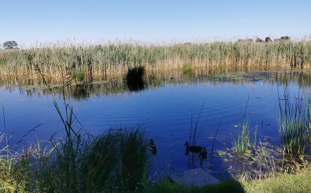 Vízparti Jacuzzis Tulipán Vendégház Lipót