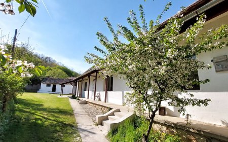 Pusztakisfalu Vendégház 2 - Lovászhetény