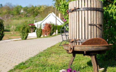 Vándortyúk Vendégház Magyarszék