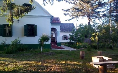 Öregfenyő Porta Őrség Magyarszombatfa