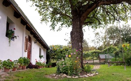 Szarvasszálló Vendégház Magyarszombatfa