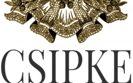 Csipke Apartman Makó