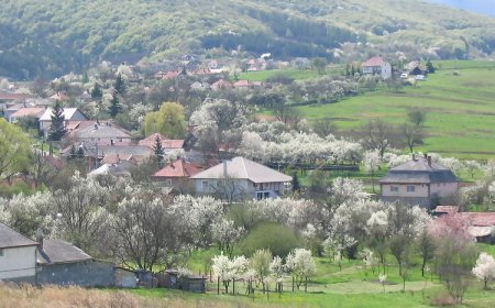 Papréte Vendégház Mályinka