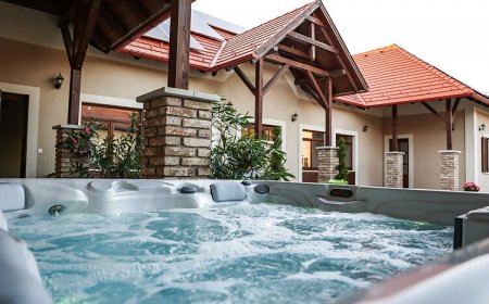 Vaddisznó Apartman Jakuzzis Vendégház Mány