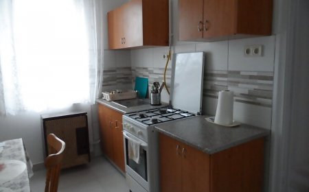 Áfonya Apartman Martfű