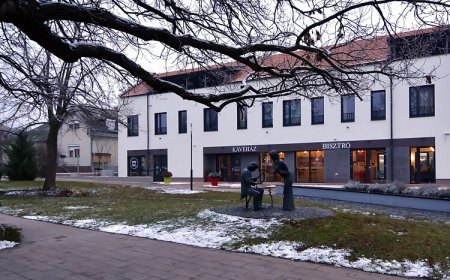 Ludwig Hotel Martonvásár