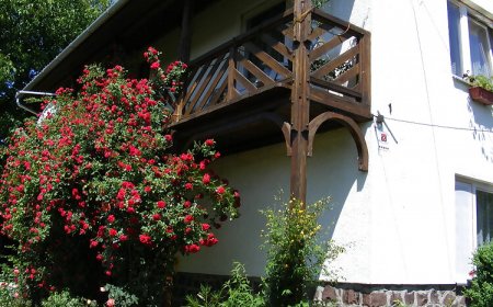 Vadrózsa Vendégház Mátraderecske