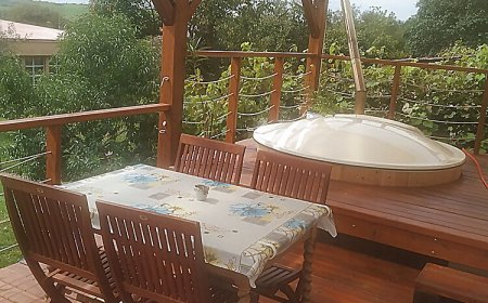 Kék Rigó Dézsafürdős Vendégház Mátranovák