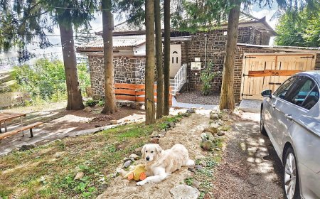 Mountain Home Galyatető Mátraszentimre