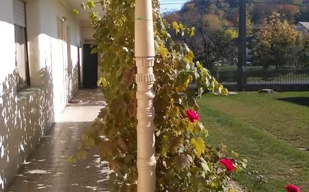 Kantár-hegyi Vendégház Máza