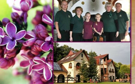 Brauer Panzió Mecseknádasd