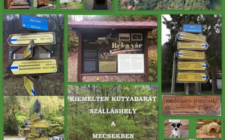 Erdővölgye Vendégház Mecseknádasd-Óbánya