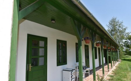 Pitypang Vendégház Megyer