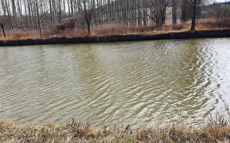 Borostyán Horgásztó és Pihenőpark Mende