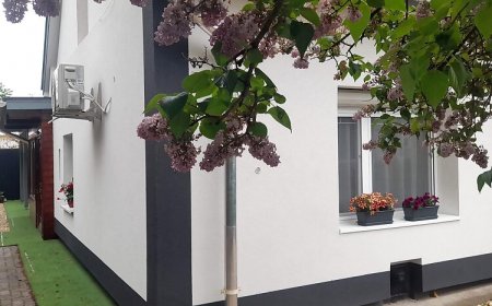 Bazsalikom Apartman Mezőkövesd