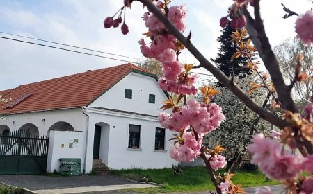 Fűszeres Porta Mihályfa