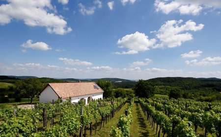 Káli Panoráma Présház Mindszentkálla