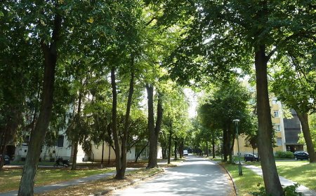 Knédli Apartman Miskolc