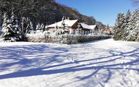 Parva Foresta Apartman Miskolc