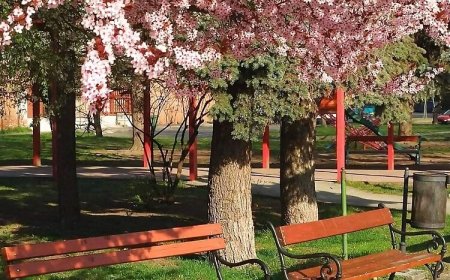 Csendespihenő Apartman Miskolc