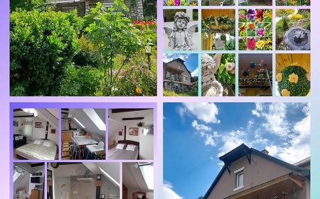 Pálfalvi Magánszállás** Miskolctapolca