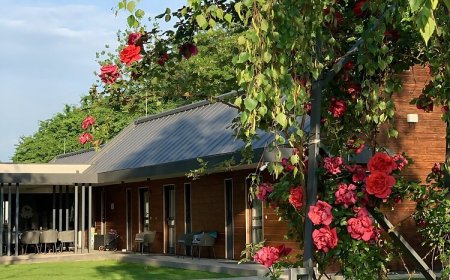 Wellness Vendégház és Lovasklub Mohács