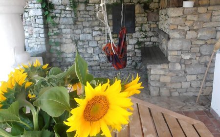 Tik Hegyi Ház Monoszló