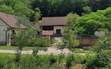 Szívek Álma Vendégház*** Monyoród-Baranya