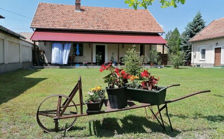 István Vendégház Mórahalom