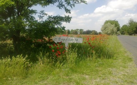 Banditanya Vendégház Mórahalom