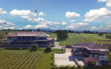 Ebner Pince Panzió Mozsgó