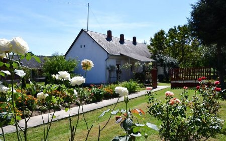 Kézműves Udvar Vendégház Murakeresztúr