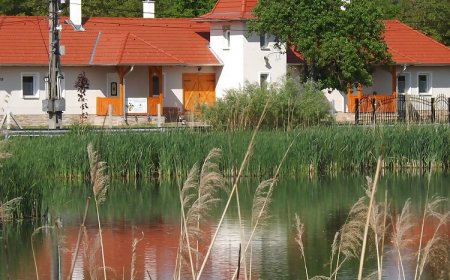 Nagybajcsi Körtefa Vendégház-Apartmanok